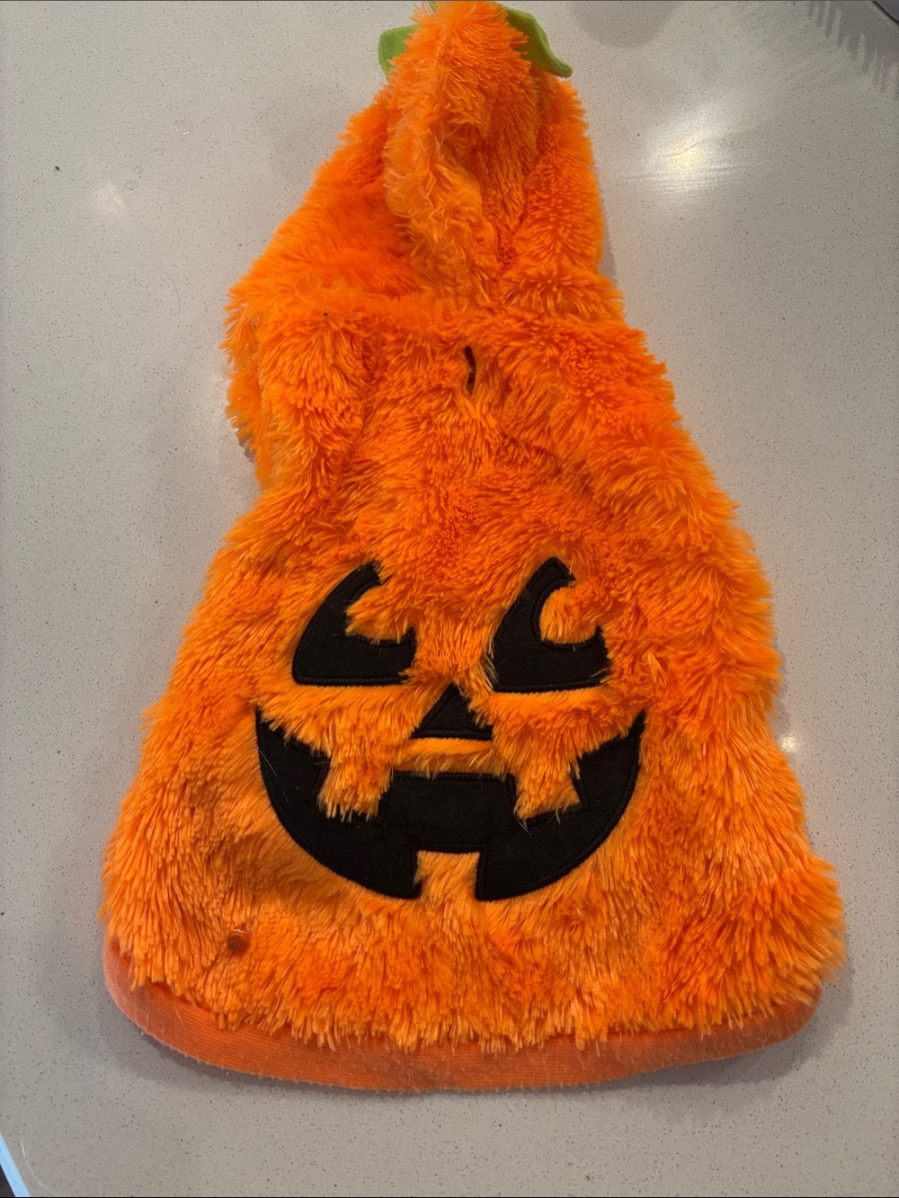 Small dog costume